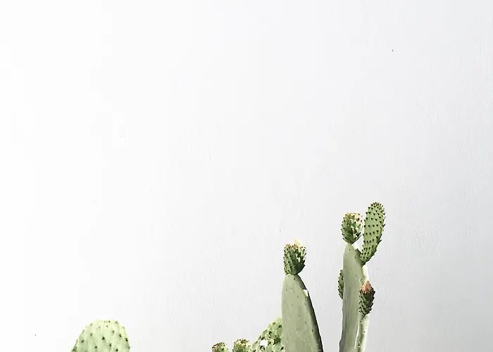 Cavo Tagoo Santorini 5* Imerovigli (Santorini)